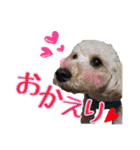 空さんぽ♡（個別スタンプ：3）