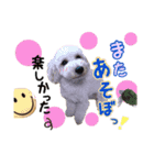 空さんぽ♡（個別スタンプ：5）