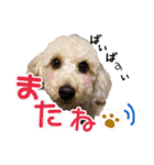 空さんぽ♡（個別スタンプ：6）