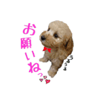 空さんぽ♡（個別スタンプ：7）