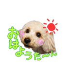 空さんぽ♡（個別スタンプ：9）