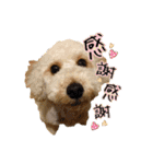 空さんぽ♡（個別スタンプ：12）