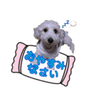 空さんぽ♡（個別スタンプ：14）