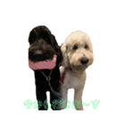 愛犬のえるとのあ（個別スタンプ：5）