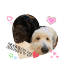 愛犬のえるとのあ（個別スタンプ：6）