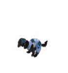 Dog＆Catの日常（個別スタンプ：10）