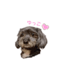 Dog＆Catの日常（個別スタンプ：18）