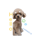 愛犬あもちゃん（個別スタンプ：2）