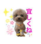 愛犬あもちゃん（個別スタンプ：3）