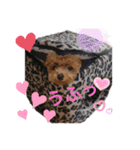 愛犬あもちゃん（個別スタンプ：4）