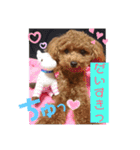 愛犬あもちゃん（個別スタンプ：14）