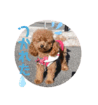 愛犬あもちゃん（個別スタンプ：18）