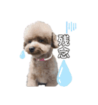 愛犬あもちゃん（個別スタンプ：22）