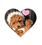愛犬あもちゃん（個別スタンプ：24）