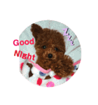 愛犬あもちゃん（個別スタンプ：27）