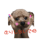 愛犬あもちゃん（個別スタンプ：30）