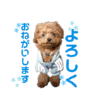 愛犬あもちゃん（個別スタンプ：32）
