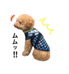 犬まみれ（個別スタンプ：2）