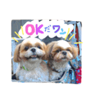 犬まみれ（個別スタンプ：3）