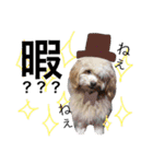 犬まみれ（個別スタンプ：8）