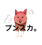 犬まみれ（個別スタンプ：16）
