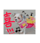 犬まみれ（個別スタンプ：20）