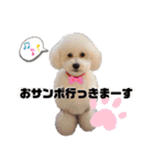 犬まみれ（個別スタンプ：23）