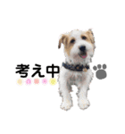犬まみれ（個別スタンプ：34）