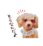 犬まみれ（個別スタンプ：35）