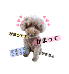 犬まみれ（個別スタンプ：36）