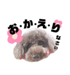 犬まみれ（個別スタンプ：38）