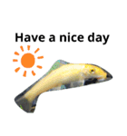 熱帯魚01（個別スタンプ：8）