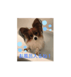 大福スタンプ❤︎（個別スタンプ：2）
