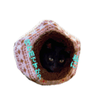 日常の一言_うちの保護猫たち（個別スタンプ：10）