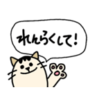 親子で使えるネコ・文字スタンプ（個別スタンプ：40）