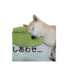 おもしろアニマルスタンプ（個別スタンプ：8）