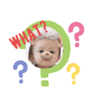 成長中 ！！！（個別スタンプ：12）