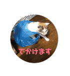 ぷいちゃんももちゃん(＋ばーちゃん)（個別スタンプ：12）
