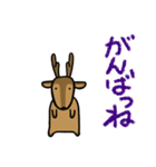 デカ文字敬語・鹿ちゃん（個別スタンプ：8）