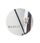 リアルりこやんスタンプ（個別スタンプ：12）