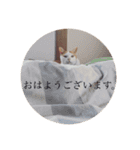 リアルりこやんスタンプ（個別スタンプ：14）