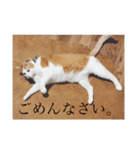 リアルりこやんスタンプ（個別スタンプ：21）