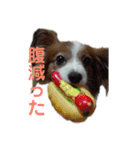 あげちょ。（個別スタンプ：1）