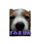 あげちょ。（個別スタンプ：3）