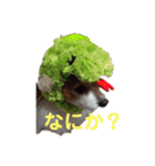 あげちょ。（個別スタンプ：5）
