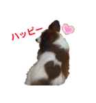 あげちょ。（個別スタンプ：7）