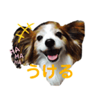あげちょ。（個別スタンプ：10）