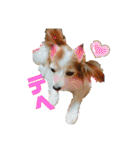 あげちょ。（個別スタンプ：13）