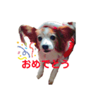 あげちょ。（個別スタンプ：16）
