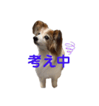 あげちょ。（個別スタンプ：18）
